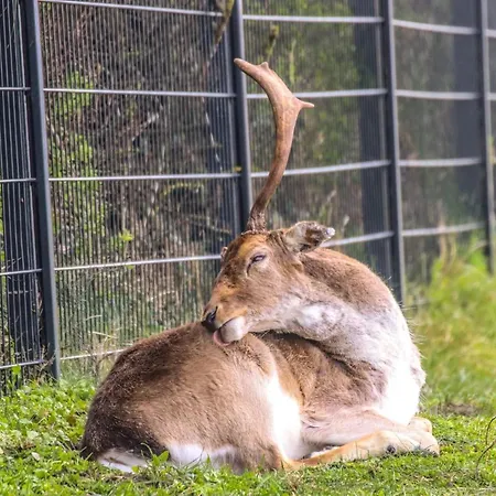 Apartman Lovely Tiny House Zandvoort