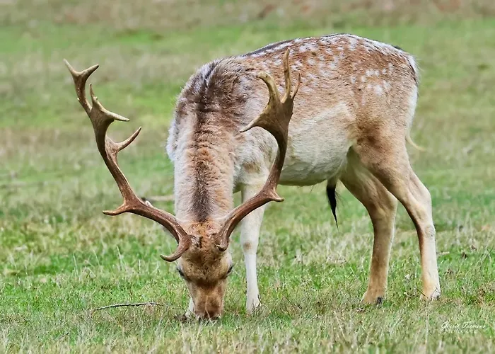 Lovely Tiny House Zandvoort