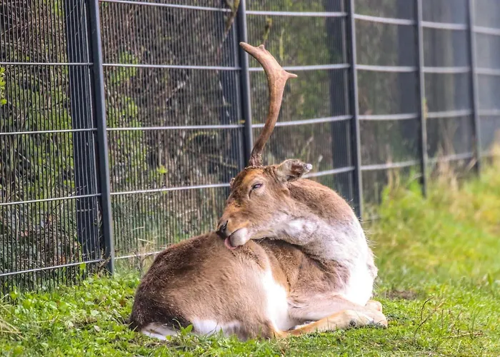 아파트 Lovely Tiny House 잔드보르트